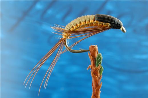 Fish4Flies Olive & Orange