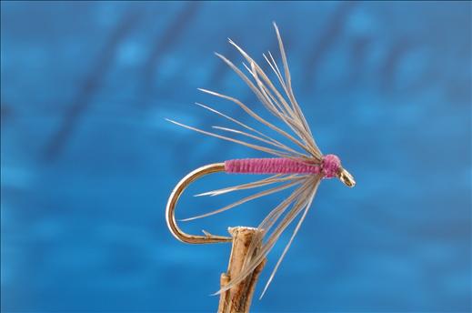 Fish4Flies Snipe & Purple