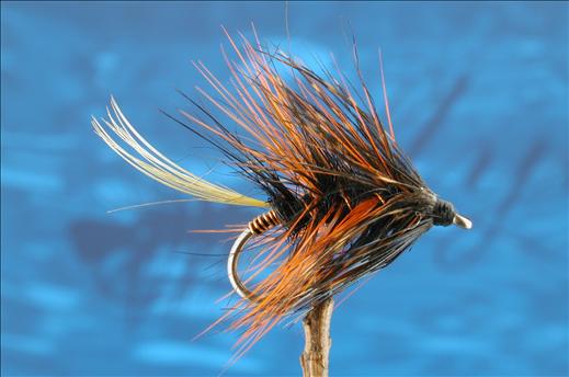 Fish4Flies Thunder & Lighting Bumble