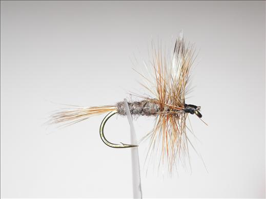 Fish4Flies Adams