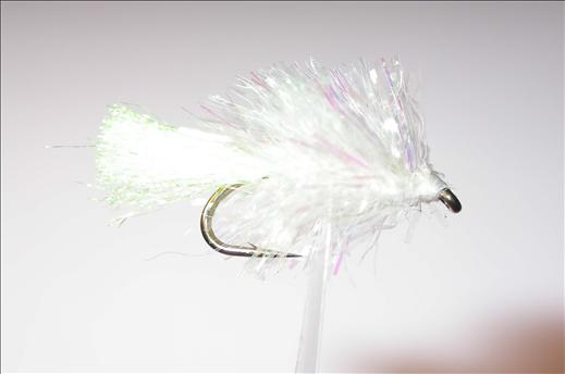 Fish4Flies Rogerstestfly
