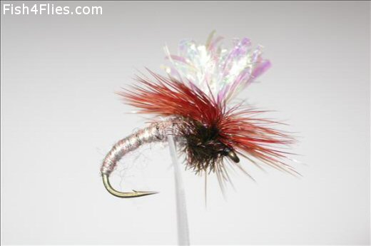 Fish4Flies Sedge Special Klinkhammer