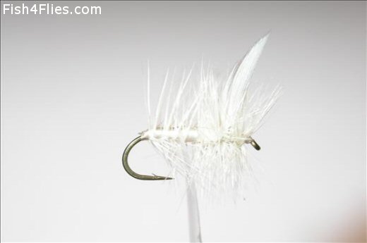 Fish4Flies White Moth