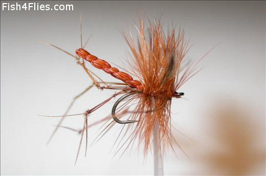 Fish4Flies Detached Daddy