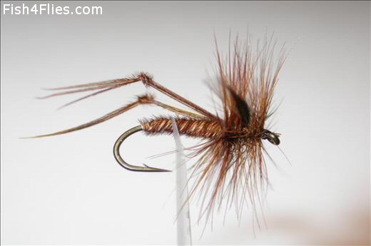 Fish4Flies Daddy Longlegs