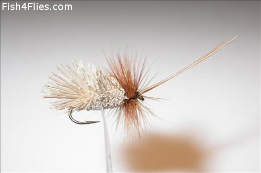 Fish4Flies Elk Hair Sedge