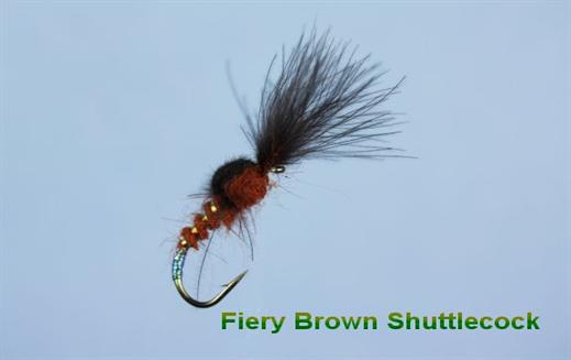 Shuttlecock Fiery Brown CDC
