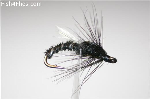 Fish4Flies Black Adult Buzzer