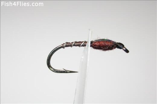 Fish4Flies Mid-weigth Flashpoint