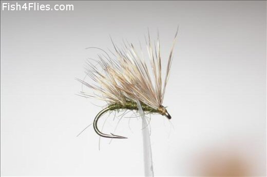 Fish4Flies Sedgehog Olive