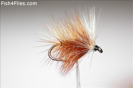 Fish4Flies Loche Ordie