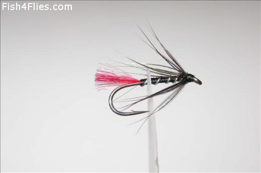 Fish4Flies Reid's Assassin