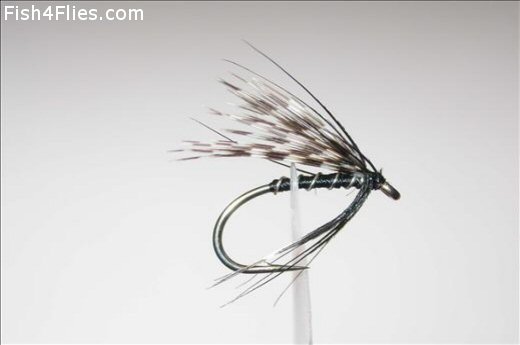 Fish4Flies Teal and Black