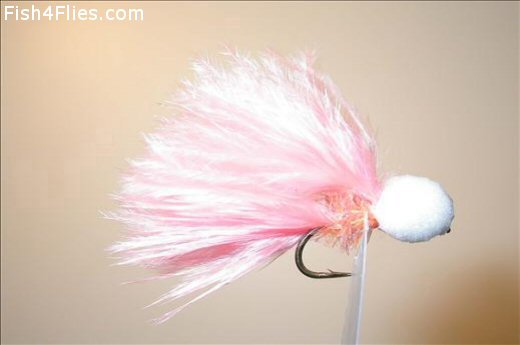Fish4Flies Coral and Pearl Booby