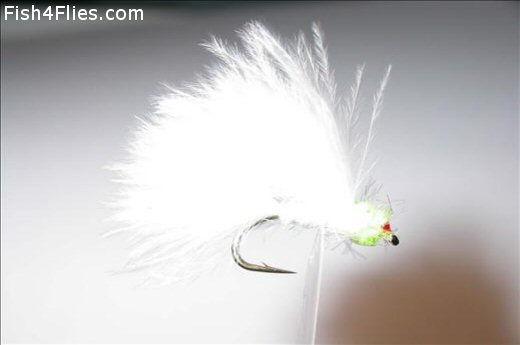 Fish4Flies Wild Cat Single