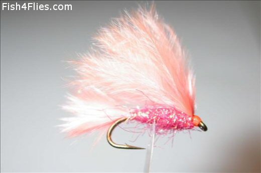 Fish4Flies Coral Killer Single