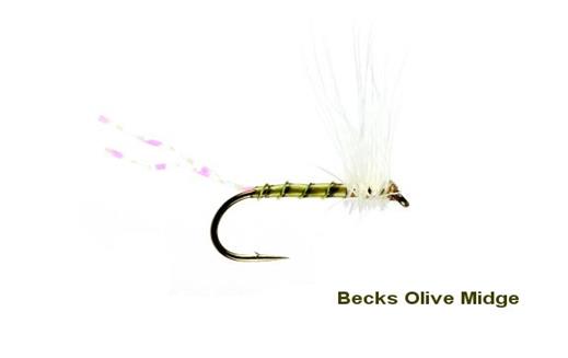 Becks Olive Midge