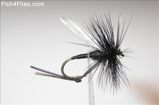 Fish4Flies Hawthorne