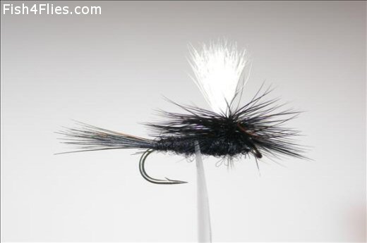 Fish4Flies Para Black Gnat
