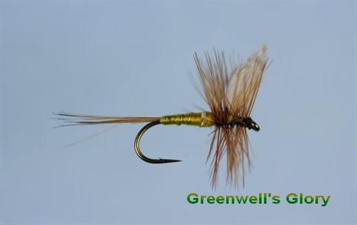 greenwells glory dry fly pattern