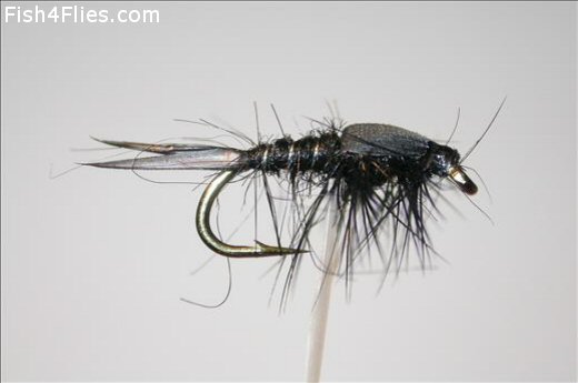 Fish4Flies Black Weighted Nymph