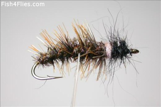 Fish4Flies Cased Caddis