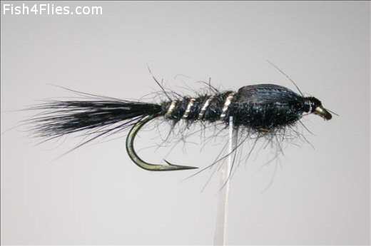 Fish4Flies GRHE Black  Weighted