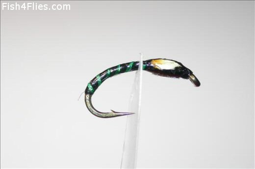 Fish4Flies Nymph Holo Green JC