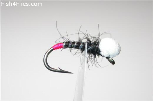 Fish4Flies Foam Emerger Black
