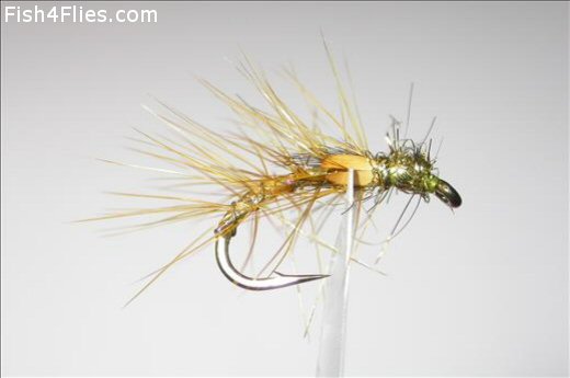 Fish4Flies Gold Holo Snatcher JC