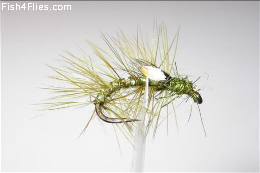 Fish4Flies Olive-Brite Snatcher JC