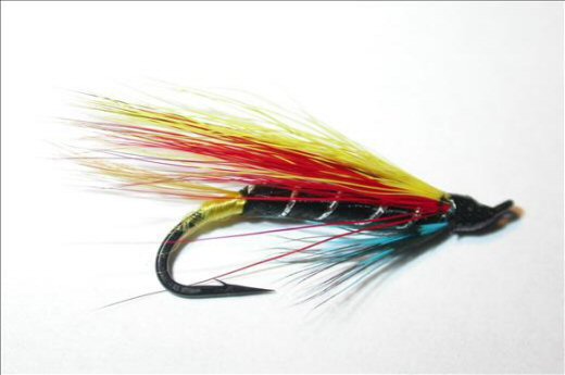 Fish4Flies Garry Dog