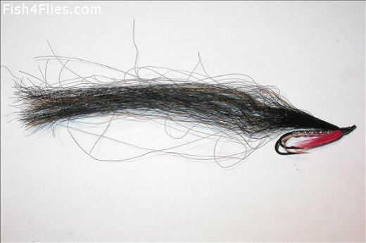 Fish4Flies Collie Dog
