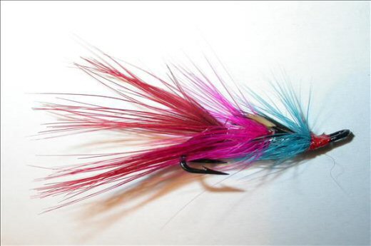 Fish4Flies Wilkinson's Shrimp JC