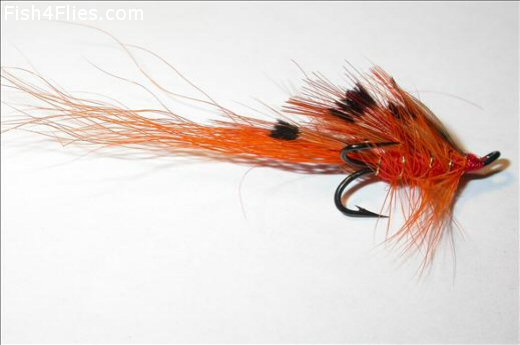 Fish4Flies General Practitioner