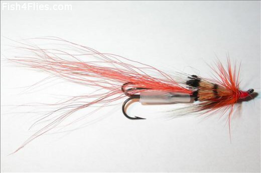 Fish4Flies Ally's Shrimp Orange