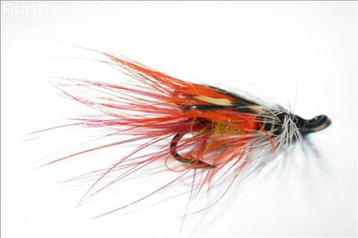 Fish4Flies Bann Special JC