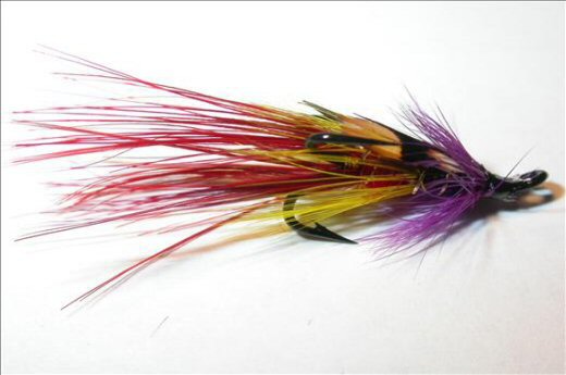 Fish4Flies Juner Shrimp JC