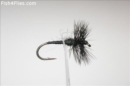 Fish4Flies Black Spider