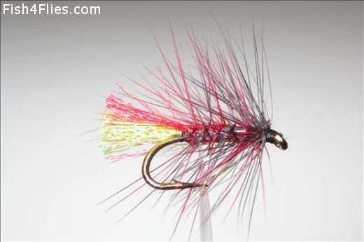 Fish4Flies Clan Chief