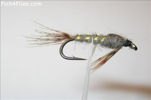 Fish4Flies March Brown Nymph