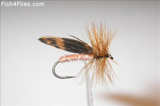 Fish4Flies Cinnamon Sedge Mottled