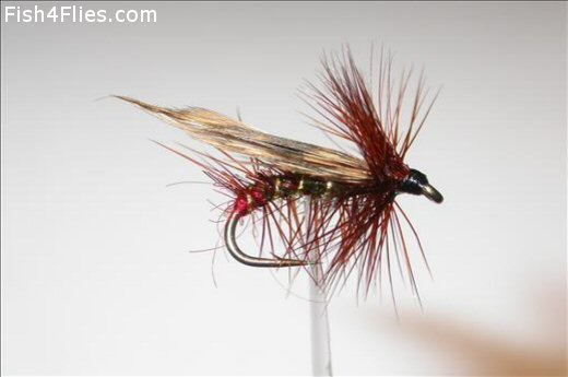 Fish4Flies Red Arsed Green Peter Sedge