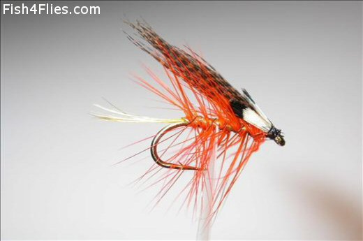 Fish4Flies Palmer Dunkeld JC