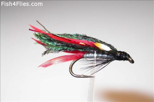 Fish4Flies Alexandra JC