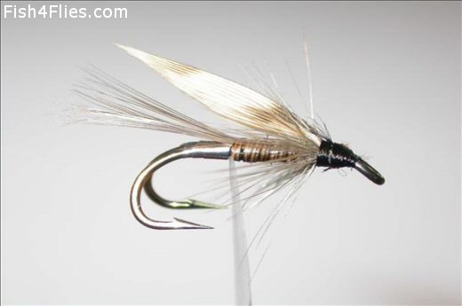 Fish4Flies Malloch