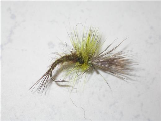 Fish4Flies Olive Skater