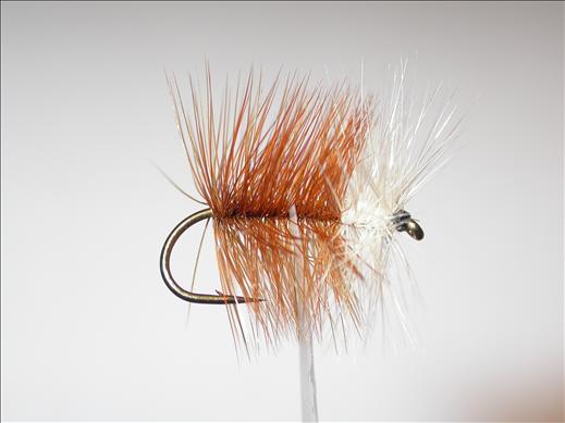 Fish4Flies Loch Dapping Ordie