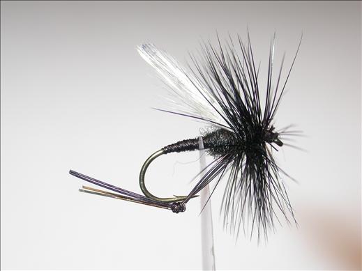Fish4Flies Dapping Hawthorne