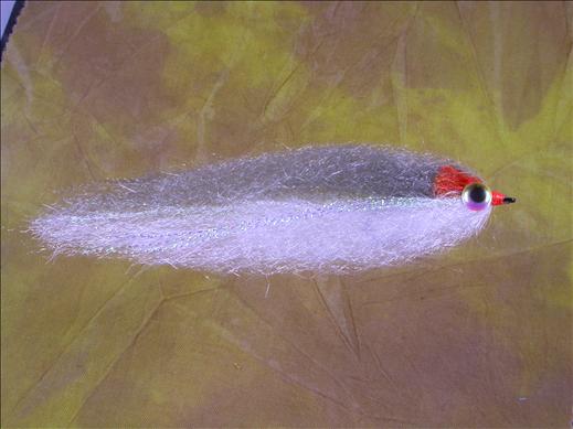 Roach Fly